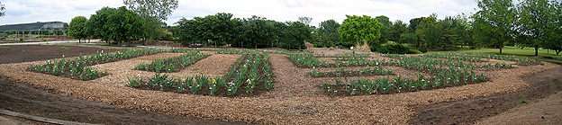 Campus iris bed